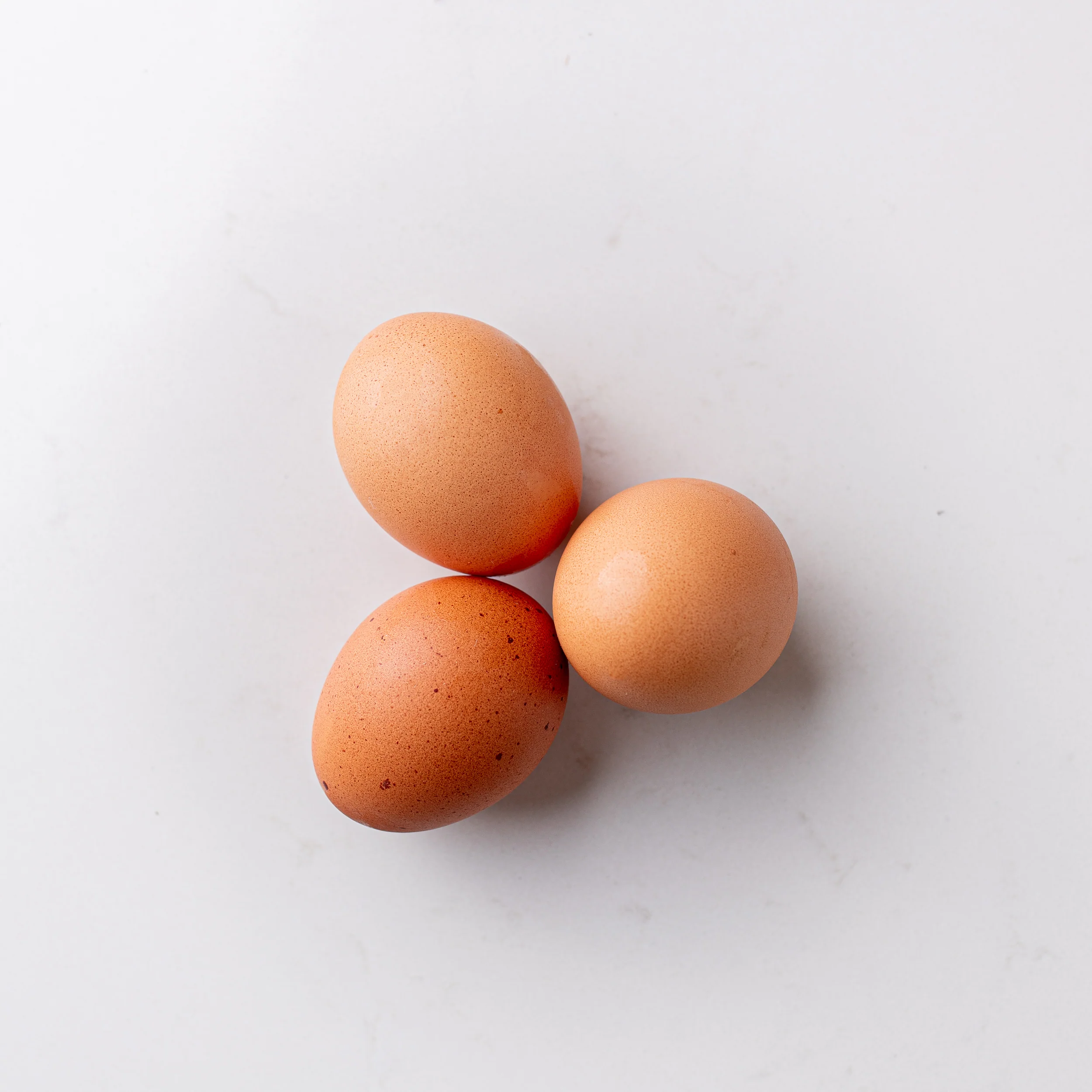 Local Farm Fresh Eggs - Image 4