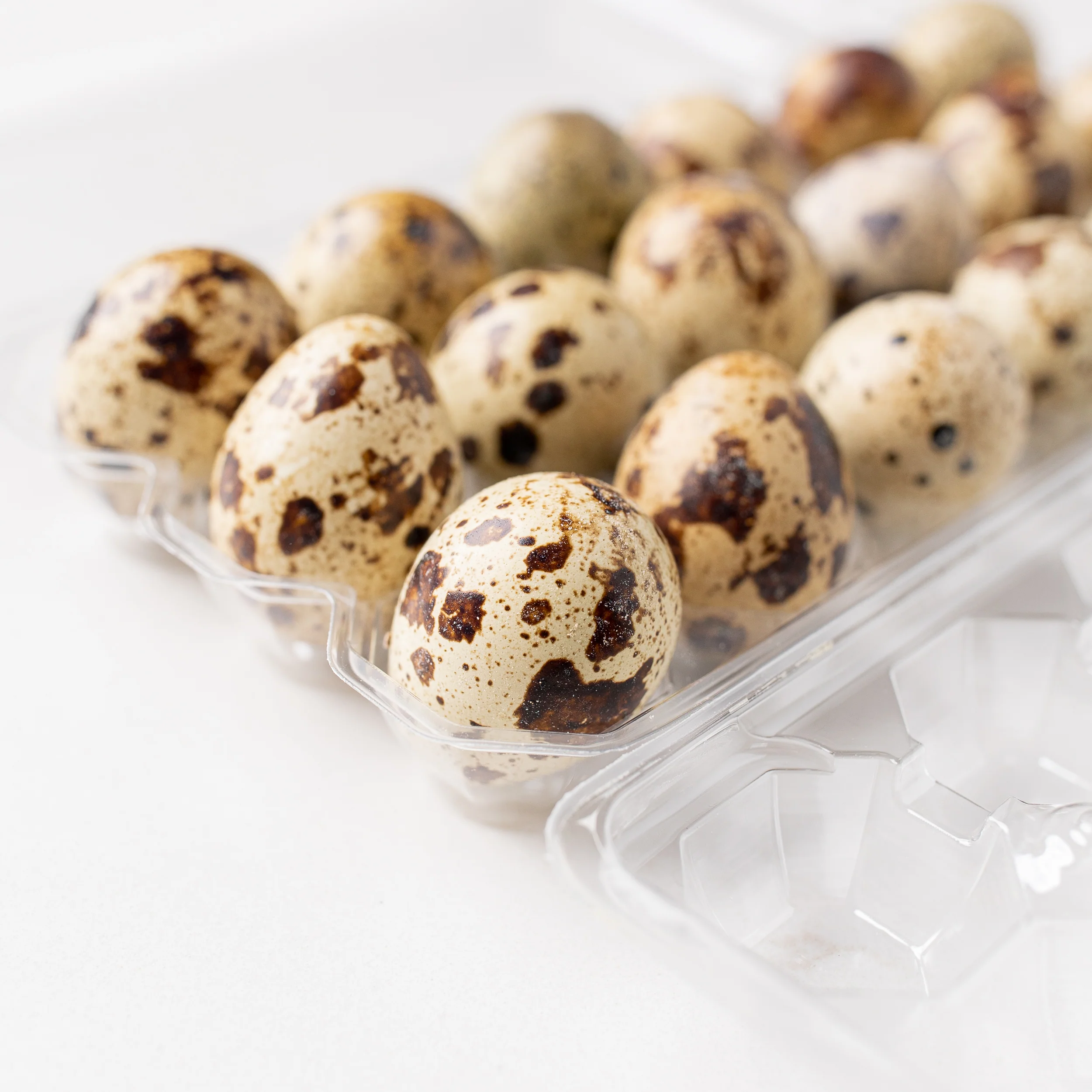Quail Eggs - Image 2