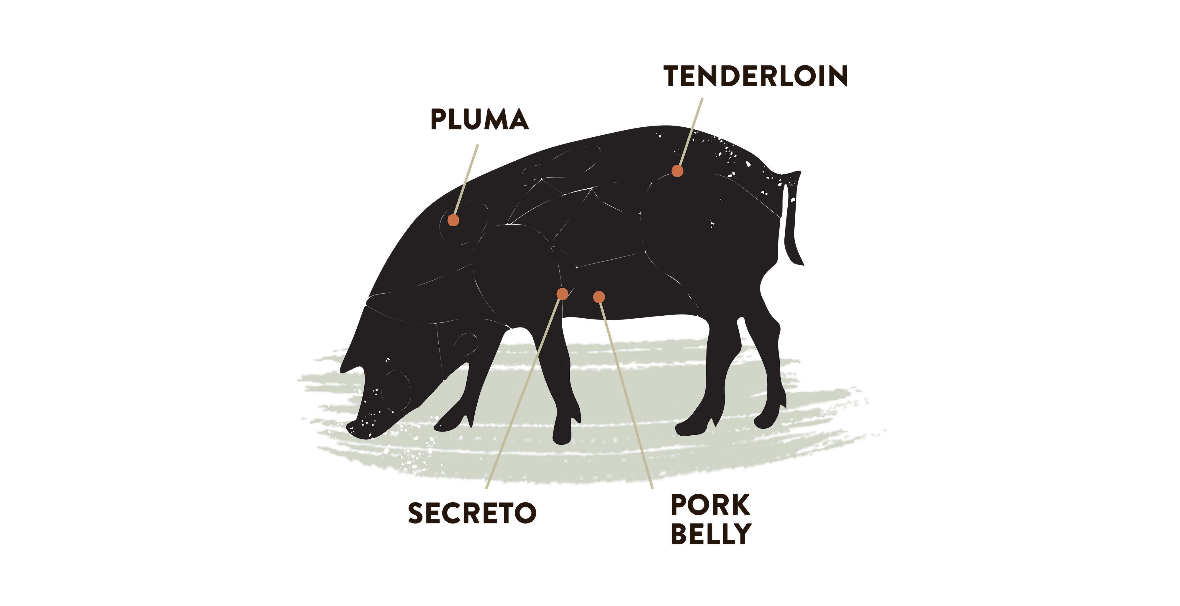 Spanish Iberico Pork - Pork Belly Skin-on - Image 4